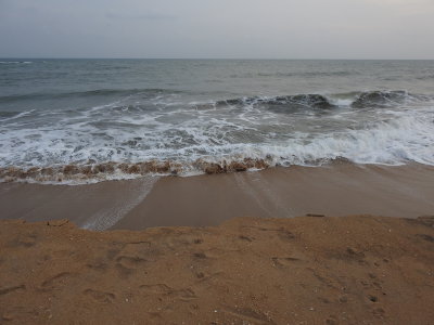 DSCN2224.JPG
