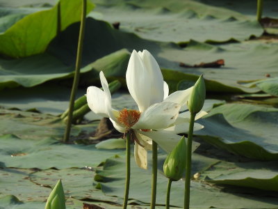 DSCN2302.JPG