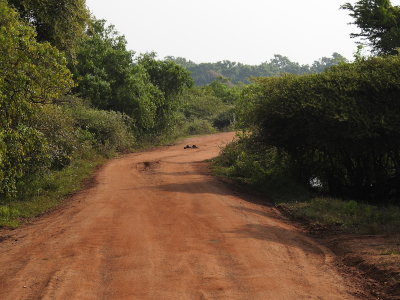 DSCN2346.JPG