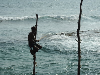 DSCN2370.JPG