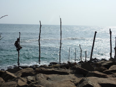 DSCN2372.JPG