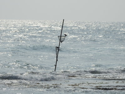 DSCN2382.JPG