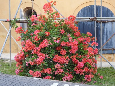 DSCN2479.JPG