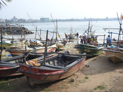 DSCN2486.JPG