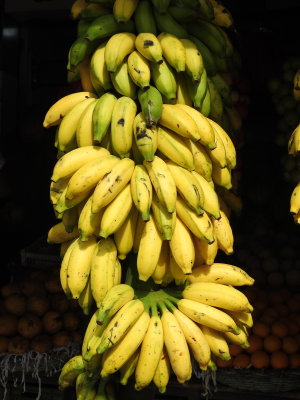 DSCN2530.JPG
