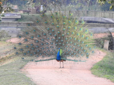 DSCN0775.JPG
