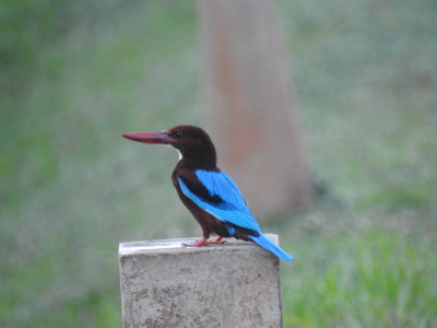 DSCN0812.JPG