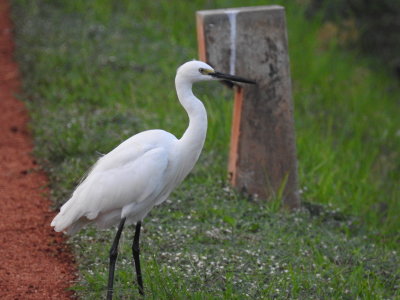 DSCN0816.JPG