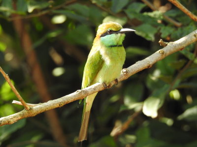 DSCN0873.JPG