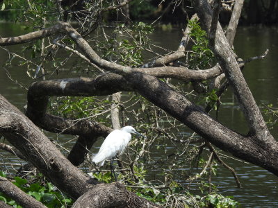 DSCN0966.JPG