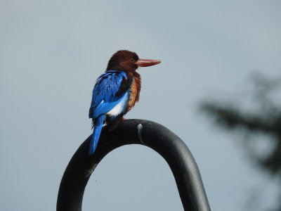 DSCN1031.JPG