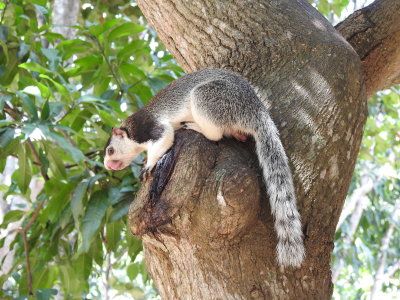 DSCN1052.JPG