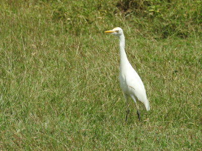 DSCN1107.JPG