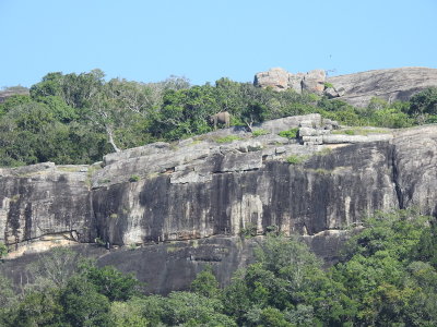 DSCN1176.JPG