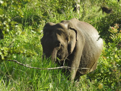 DSCN1218.JPG