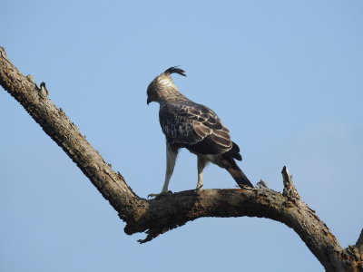 DSCN1238.JPG