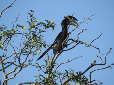 DSCN1246.JPG