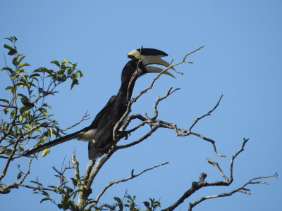 DSCN1250.JPG