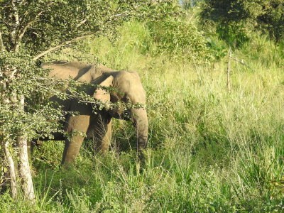 DSCN1258.JPG