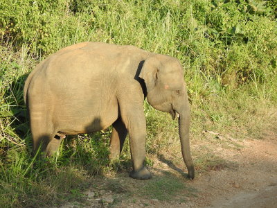 DSCN1270.JPG