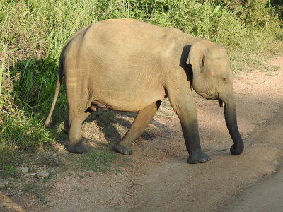 DSCN1271.JPG