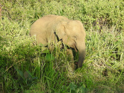 DSCN1273.JPG