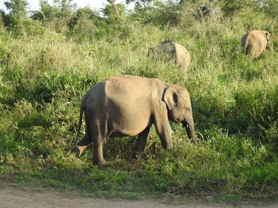 DSCN1276.JPG