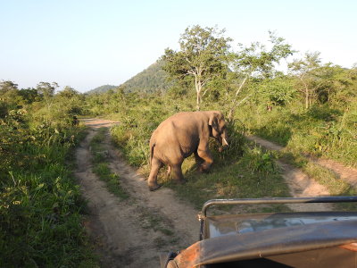 DSCN1338.JPG