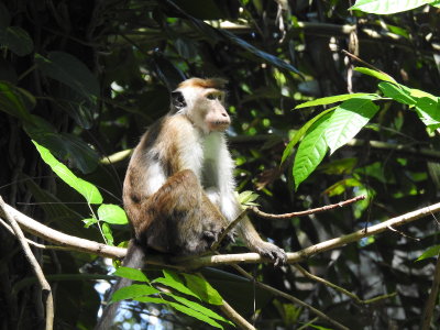 DSCN1454.JPG