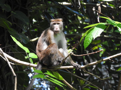 DSCN1455.JPG