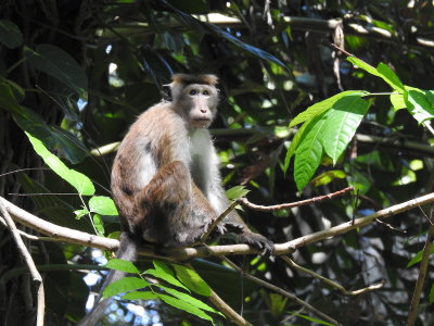 DSCN1456.JPG
