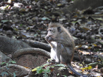 DSCN1468.JPG