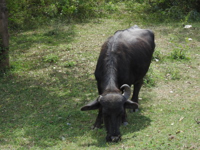 DSCN1814.JPG
