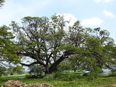 DSCN1829.JPG
