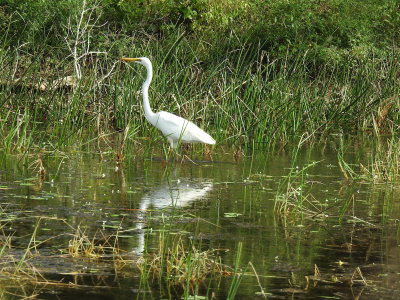 DSCN1876.JPG
