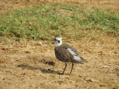 DSCN1893.JPG