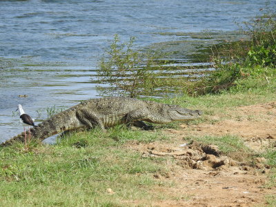 DSCN1896.JPG