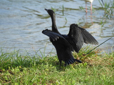 DSCN1905.JPG