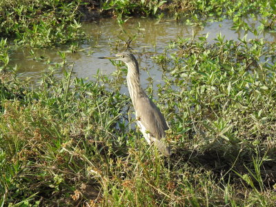 DSCN1932.JPG