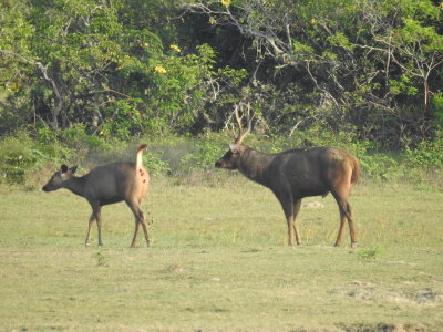DSCN1990.JPG
