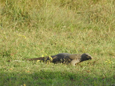 DSCN1991.JPG