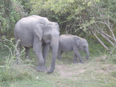 DSCN2055.JPG