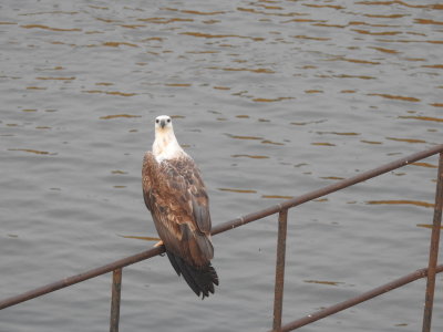 DSCN2080.JPG