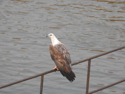 DSCN2082.JPG