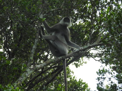DSCN2118.JPG