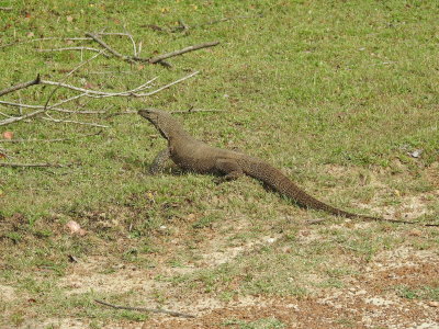 DSCN2122.JPG