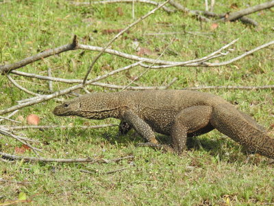 DSCN2123.JPG