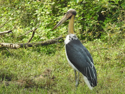 DSCN2129.JPG