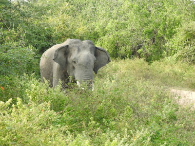 DSCN2199.JPG