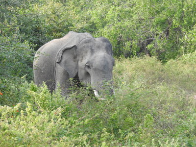 DSCN2201.JPG